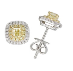L1857051 HEE1582R01MH 18K Y&WG with Dia Earrings