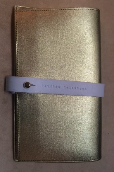 Delfina Delettrez Чехол для очков